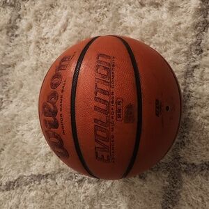 Wilson evolution  basketball